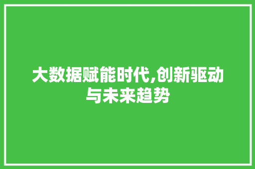 大数据赋能时代,创新驱动与未来趋势 必应SEO