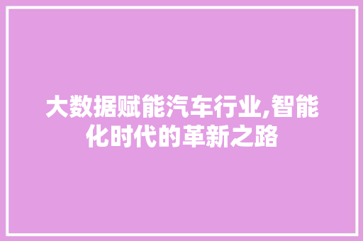 大数据赋能汽车行业,智能化时代的革新之路 必应SEO