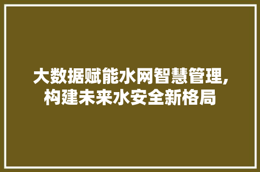大数据赋能水网智慧管理,构建未来水安全新格局 SEO关键词