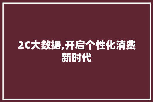 2C大数据,开启个性化消费新时代