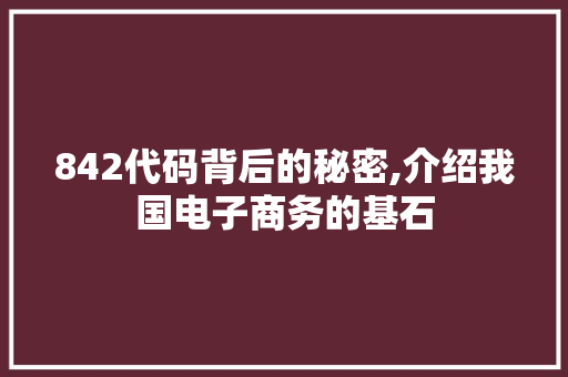 842代码背后的秘密,介绍我国电子商务的基石