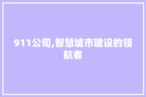 911公司,智慧城市建设的领航者