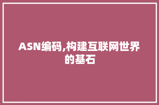 ASN编码,构建互联网世界的基石