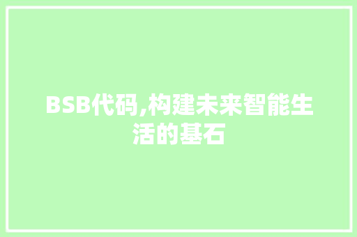 BSB代码,构建未来智能生活的基石