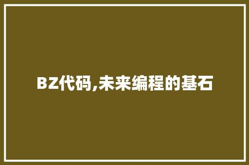 BZ代码,未来编程的基石