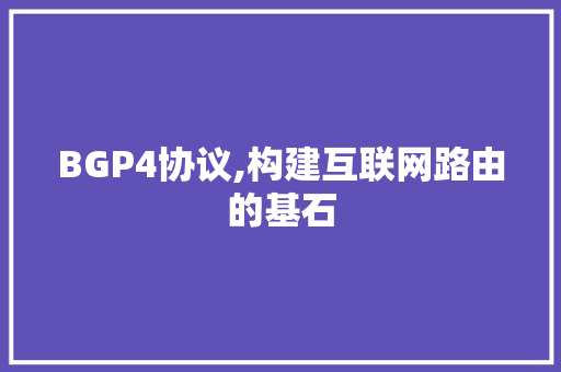 BGP4协议,构建互联网路由的基石 百度SEO