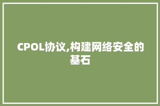 CPOL协议,构建网络安全的基石
