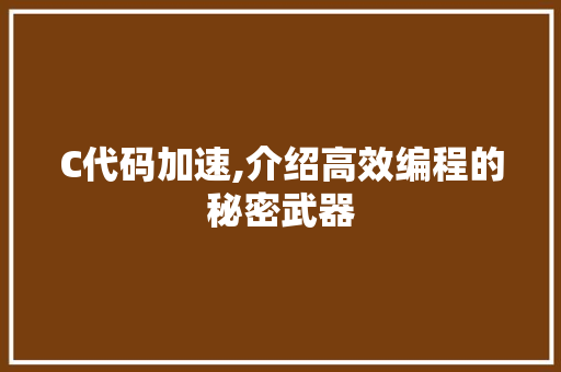 C代码加速,介绍高效编程的秘密武器