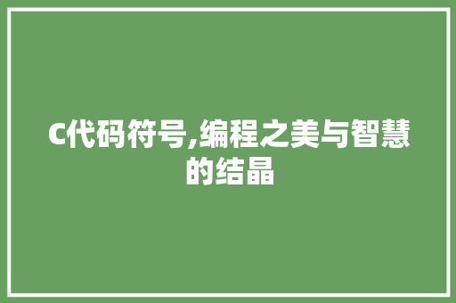 C代码符号,编程之美与智慧的结晶