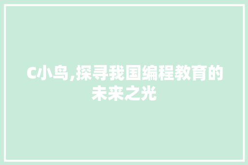 C小鸟,探寻我国编程教育的未来之光