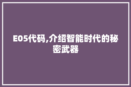 E05代码,介绍智能时代的秘密武器