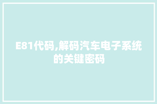 E81代码,解码汽车电子系统的关键密码