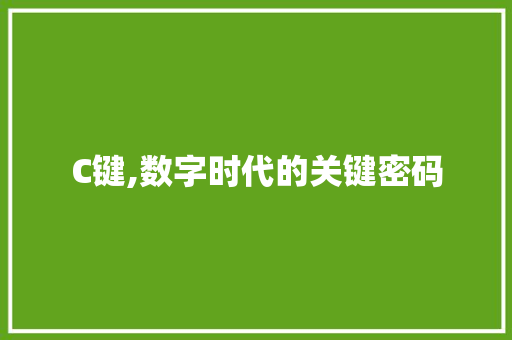 C键,数字时代的关键密码