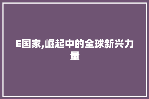 E国家,崛起中的全球新兴力量