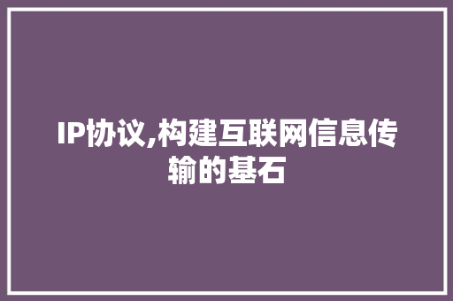 IP协议,构建互联网信息传输的基石