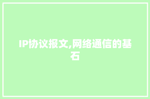 IP协议报文,网络通信的基石