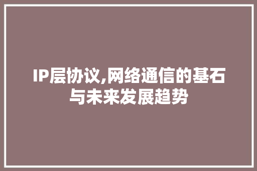 IP层协议,网络通信的基石与未来发展趋势