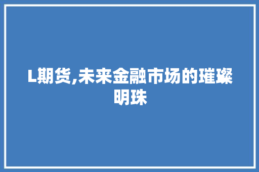 L期货,未来金融市场的璀璨明珠