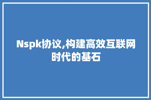Nspk协议,构建高效互联网时代的基石
