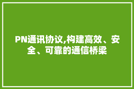 PN通讯协议,构建高效、安全、可靠的通信桥梁