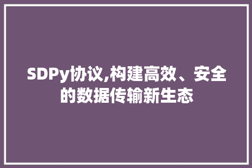 SDPy协议,构建高效、安全的数据传输新生态