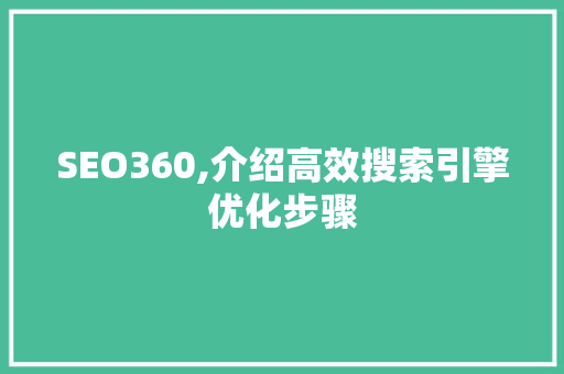 SEO360,介绍高效搜索引擎优化步骤