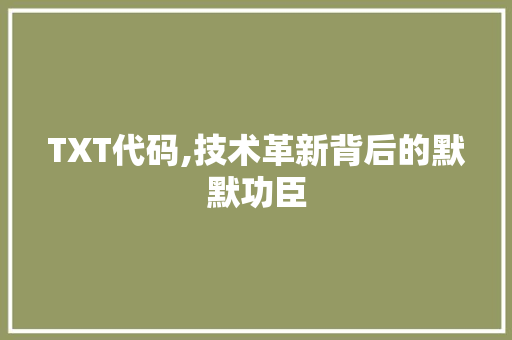 TXT代码,技术革新背后的默默功臣