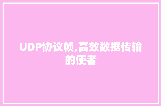 UDP协议帧,高效数据传输的使者