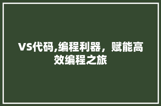 VS代码,编程利器，赋能高效编程之旅