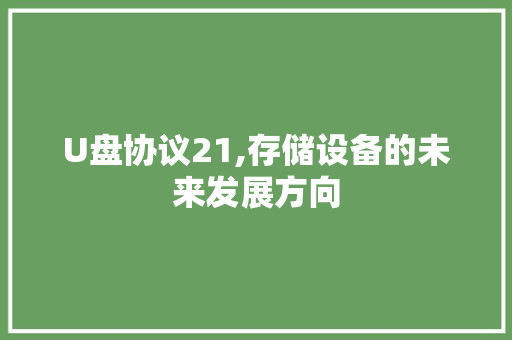 U盘协议21,存储设备的未来发展方向