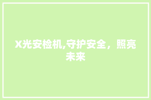 X光安检机,守护安全，照亮未来