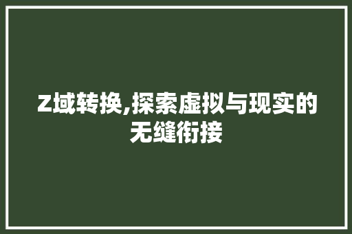 Z域转换,探索虚拟与现实的无缝衔接 必应SEO