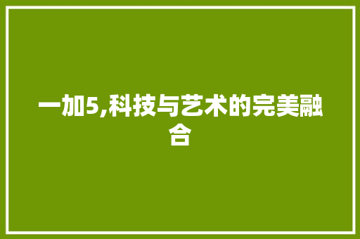 一加5,科技与艺术的完美融合