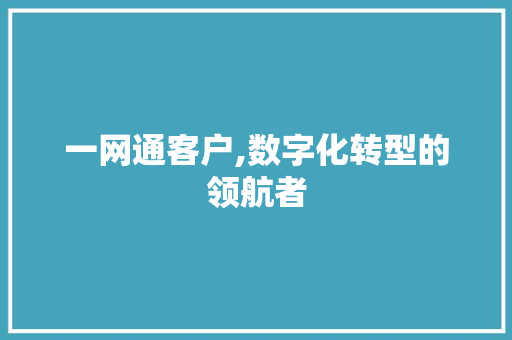 一网通客户,数字化转型的领航者