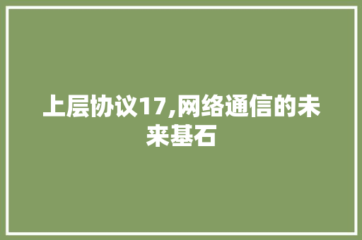 上层协议17,网络通信的未来基石