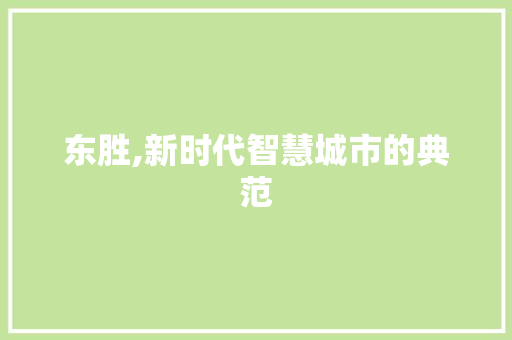 东胜,新时代智慧城市的典范
