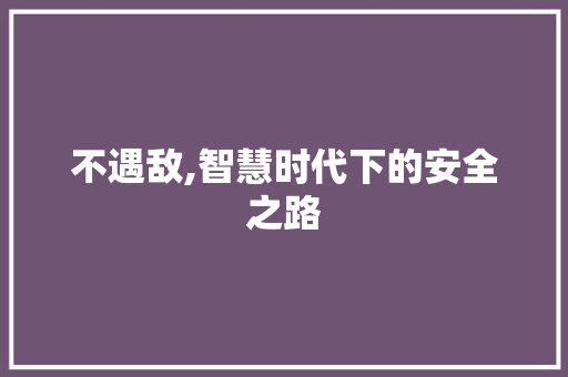 不遇敌,智慧时代下的安全之路
