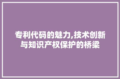 专利代码的魅力,技术创新与知识产权保护的桥梁