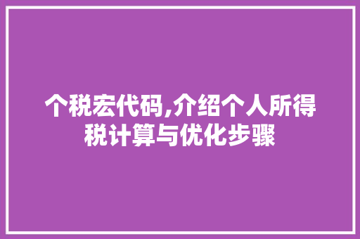 个税宏代码,介绍个人所得税计算与优化步骤