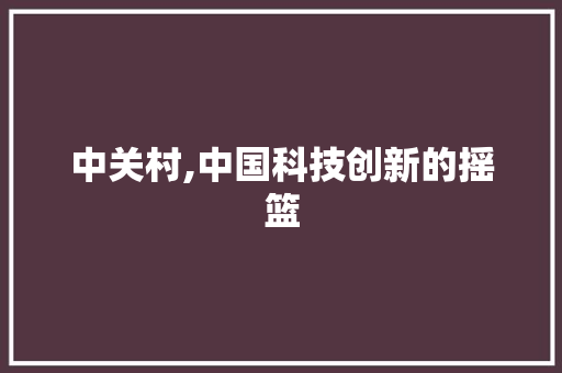中关村,中国科技创新的摇篮