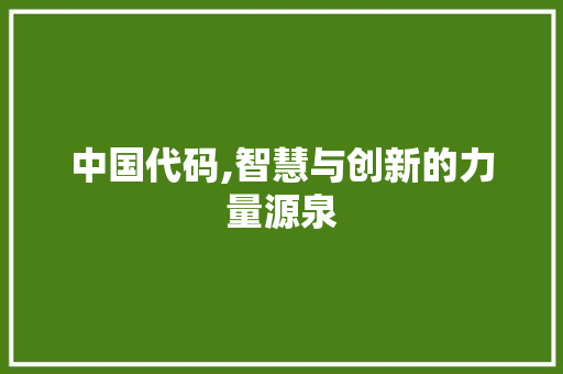 中国代码,智慧与创新的力量源泉