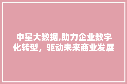 中星大数据,助力企业数字化转型，驱动未来商业发展 必应SEO