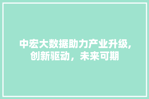 中宏大数据助力产业升级,创新驱动，未来可期