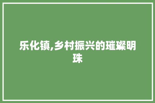 乐化镇,乡村振兴的璀璨明珠 网站建设公司