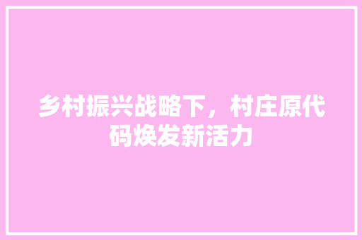 乡村振兴战略下，村庄原代码焕发新活力