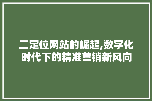 二定位网站的崛起,数字化时代下的精准营销新风向