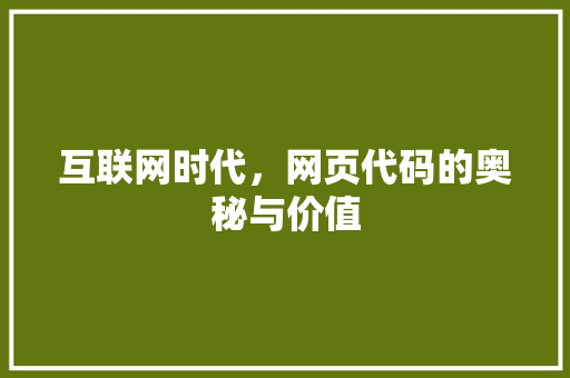 互联网时代，网页代码的奥秘与价值 网站建设公司