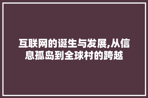 互联网的诞生与发展,从信息孤岛到全球村的跨越 SEO关键词