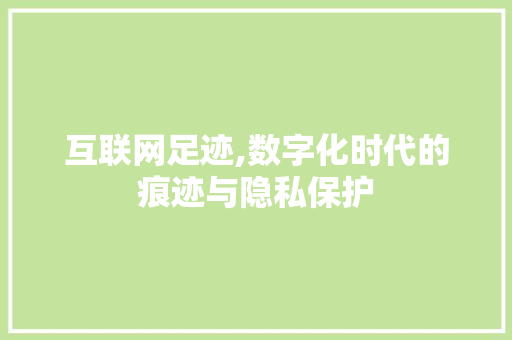 互联网足迹,数字化时代的痕迹与隐私保护 搜狗SEO