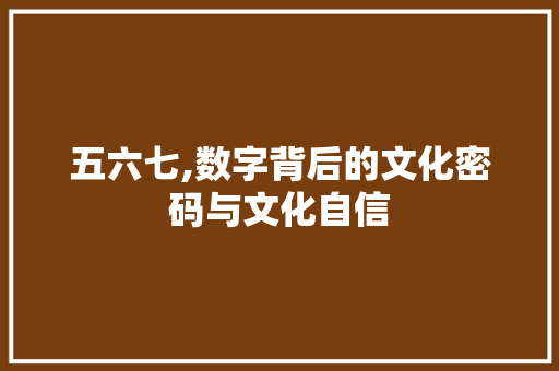 五六七,数字背后的文化密码与文化自信